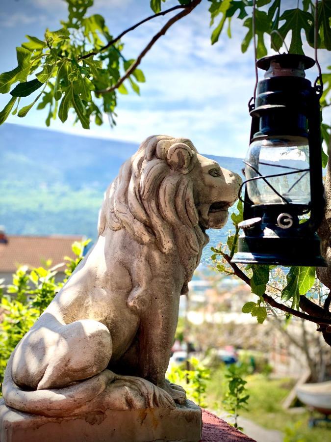 Hotel Vila Duricic 300M Od Mora Ðenovići Zewnętrze zdjęcie